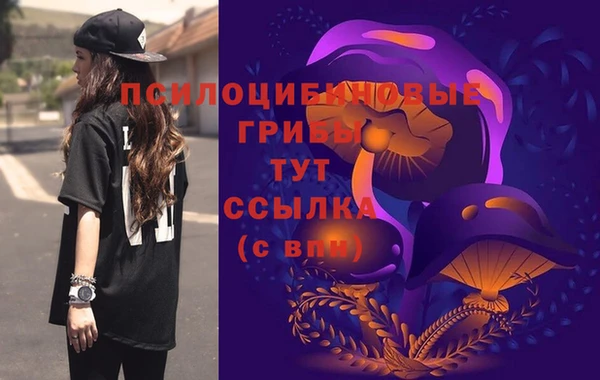 экстази Каменск-Шахтинский