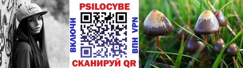 Купить где  Верхняя Салда  Псилоцибиновые грибы мухоморы 